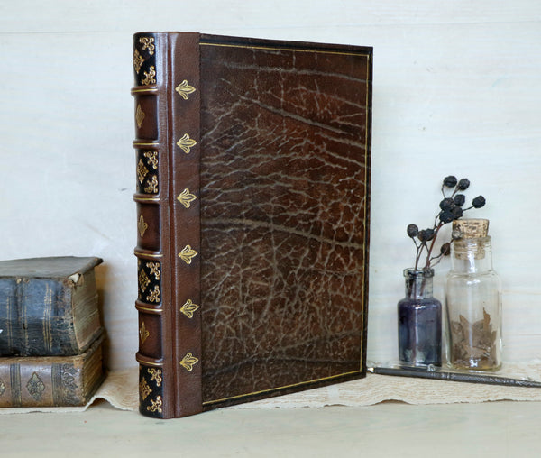 Large leather journal, Worn leather, Gold tooled decoration. The Old Book